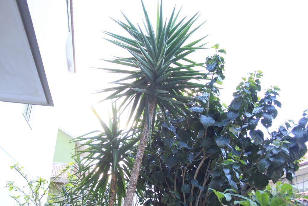 B&B Mimosa Giardini Naxos Exteriör bild